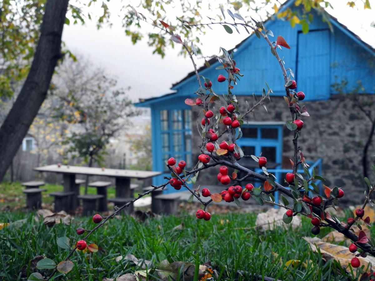 Отели типа «постель и завтрак» Toon Armeni Guest House Дилижан-4